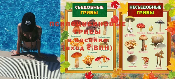 соль курить ск Белокуриха