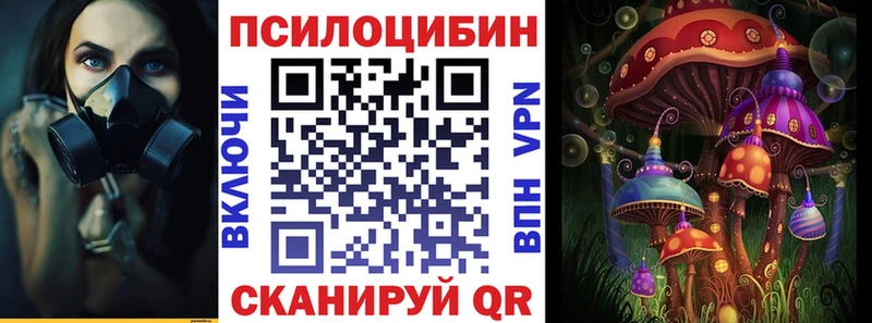 где купить   Кузнецк  Галлюциногенные грибы Cubensis 
